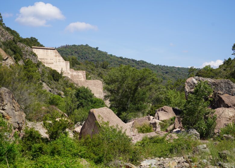 Barrage de Malpasset