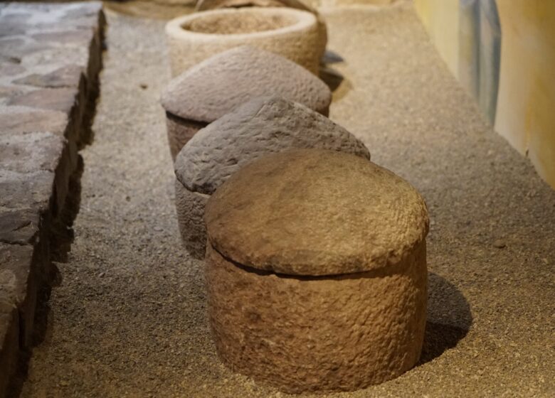 Musée archéologique de Fréjus