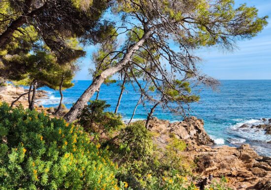 Randonnée sentier du littoral