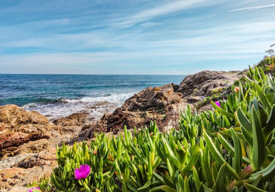 Randonnée sentier du littoral