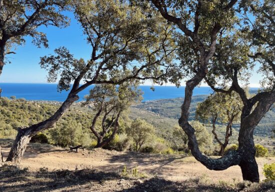 Randonnée Vallon de la Gaillarde
