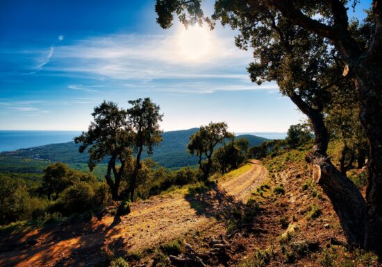 Randonnée Vallon de la Gaillarde