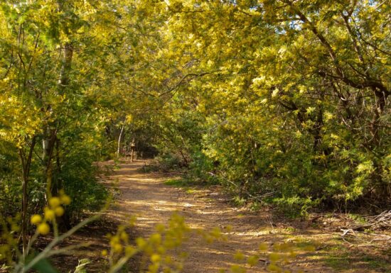 Randonnée Vallon de la Gaillarde