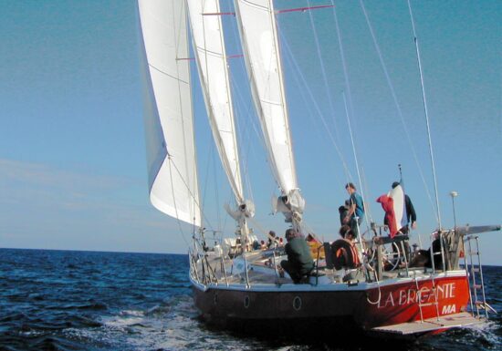 Sortie journée en voilier