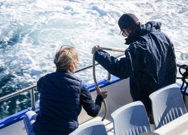 Les Bateaux bleus