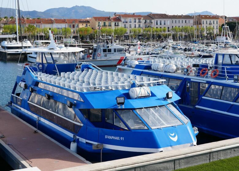 Les Bateaux bleus