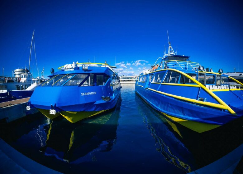 Les Bateaux bleus