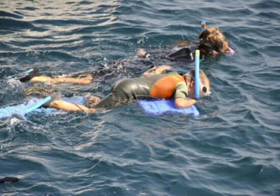 Randonnée palmée avec moniteur