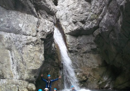 Balade aquatique: Back to the tree