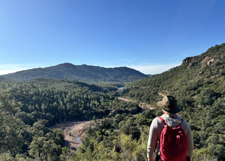 Du Pic de l’Escale aux Lentisques