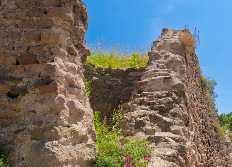 Butte Saint-Antoine