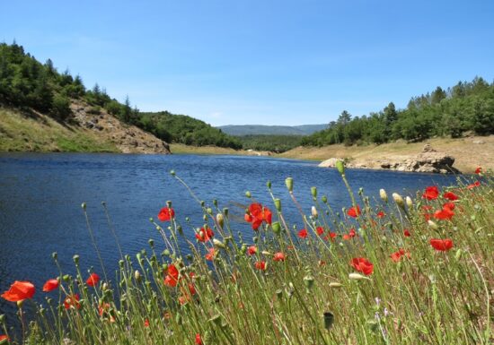 Promenade : Le lac de Méaulx – Saint-Paul-en-Forêt