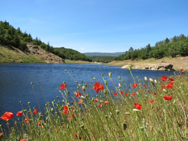 Promenade : Le lac de Méaulx – Saint-Paul-en-Forêt
