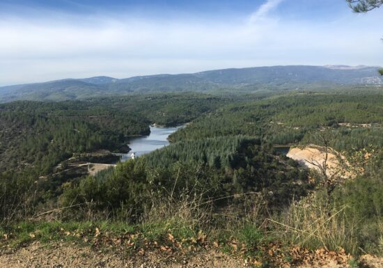 Promenade : La Forêt Royale – Saint-Paul-en-Forêt