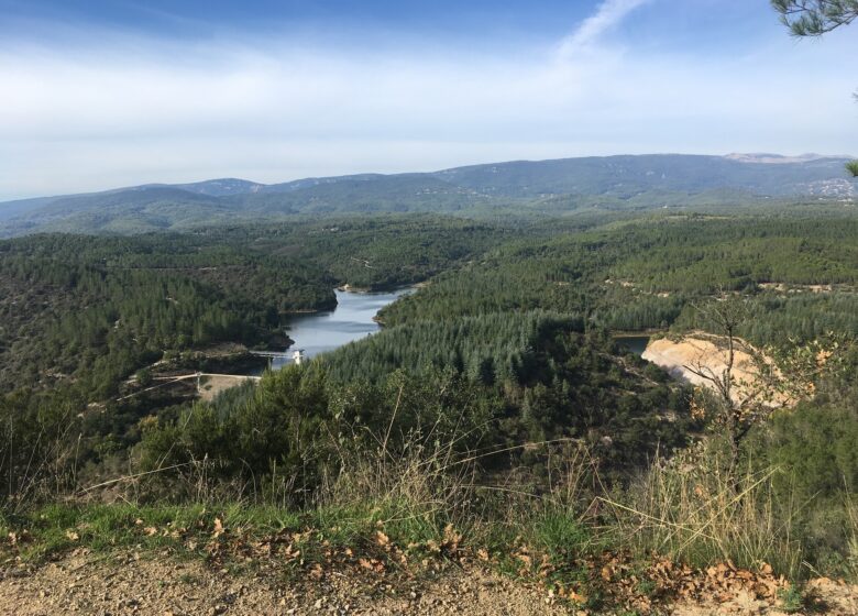 Promenade : La Forêt Royale – Saint-Paul-en-Forêt