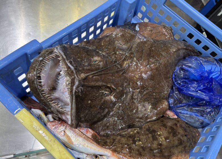 Pescatourisme