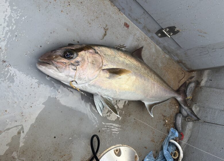 Pescatourisme