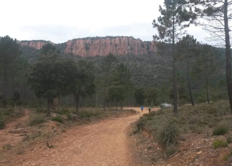 Trail : Trail des Mange Lamberts