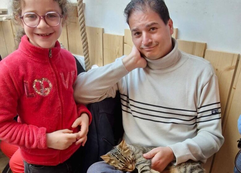 Le Miaou Miaou – Bar à Chats – Bananabeachcafe