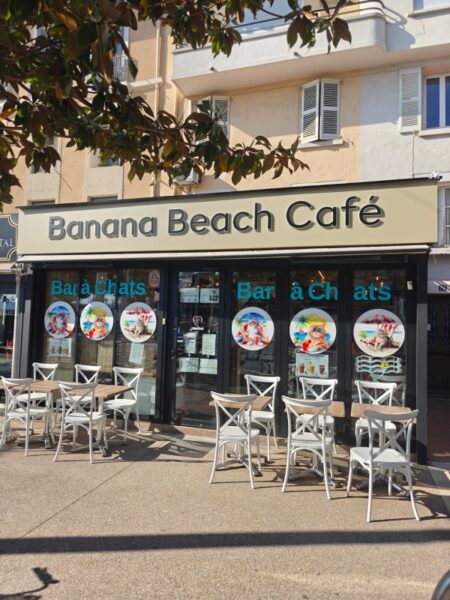 Le Miaou Miaou – Bar à Chats – Bananabeachcafe