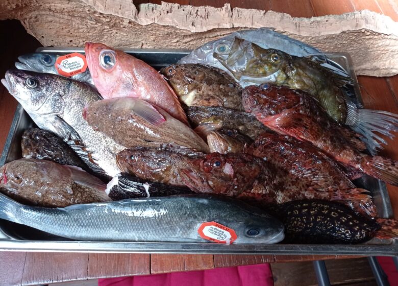 Le Comptoir du Sud