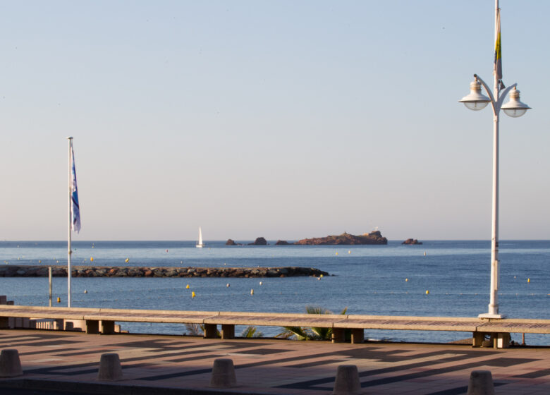 L’Excelsior