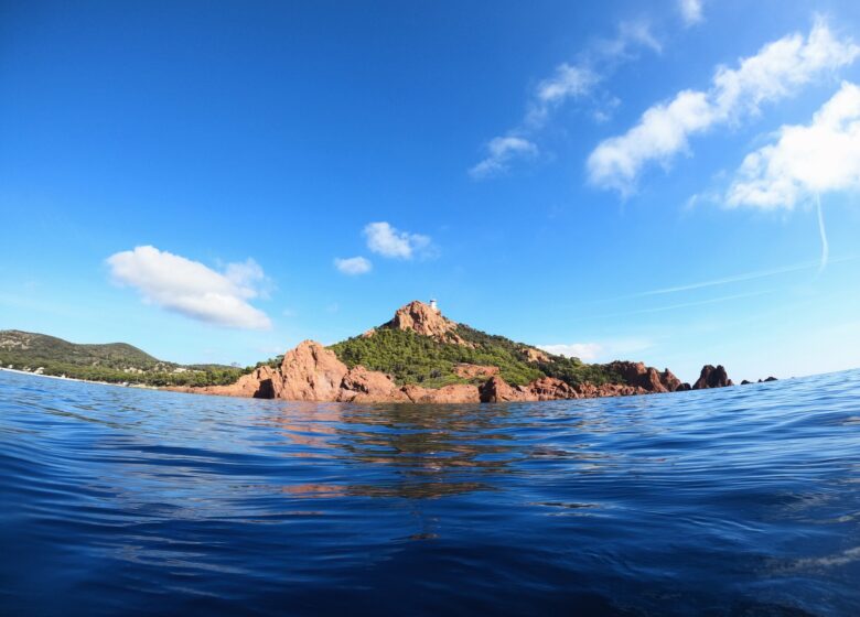 Vitaminsea diving