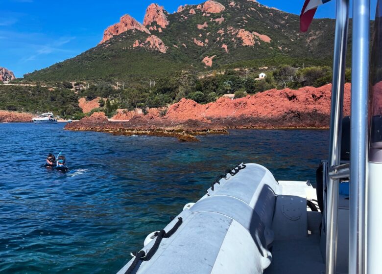 Vitaminsea diving