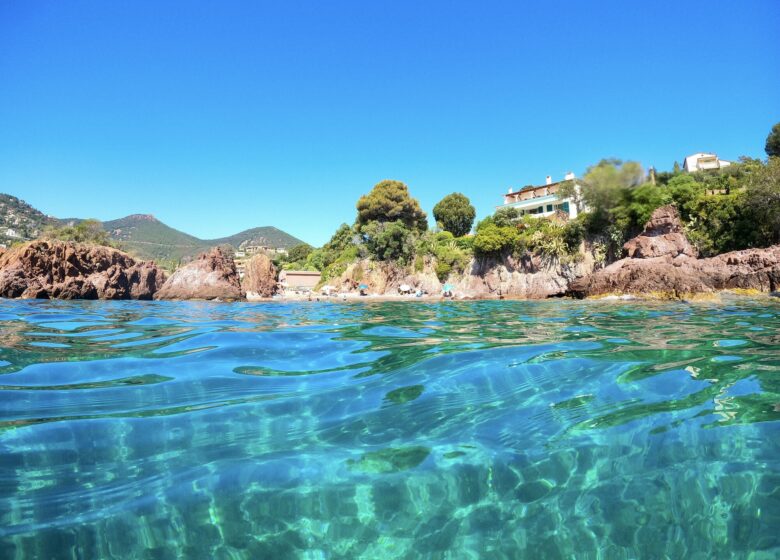 Vitaminsea diving