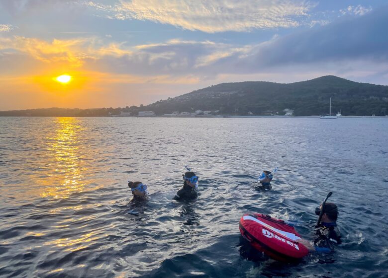 Vitaminsea diving