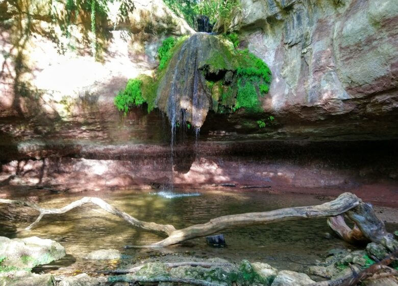 Promenade : Cascade de Gourbachin – Bagnols-en-forêt