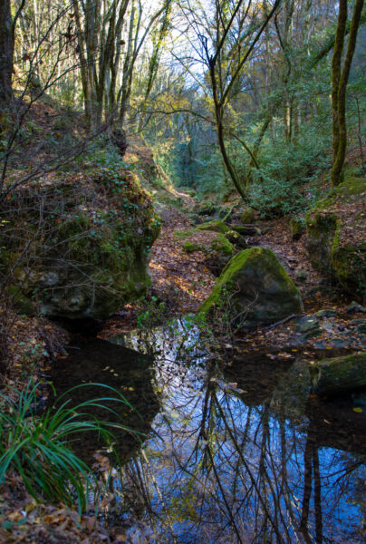 Promenade : Cascade de Gourbachin – Bagnols-en-forêt