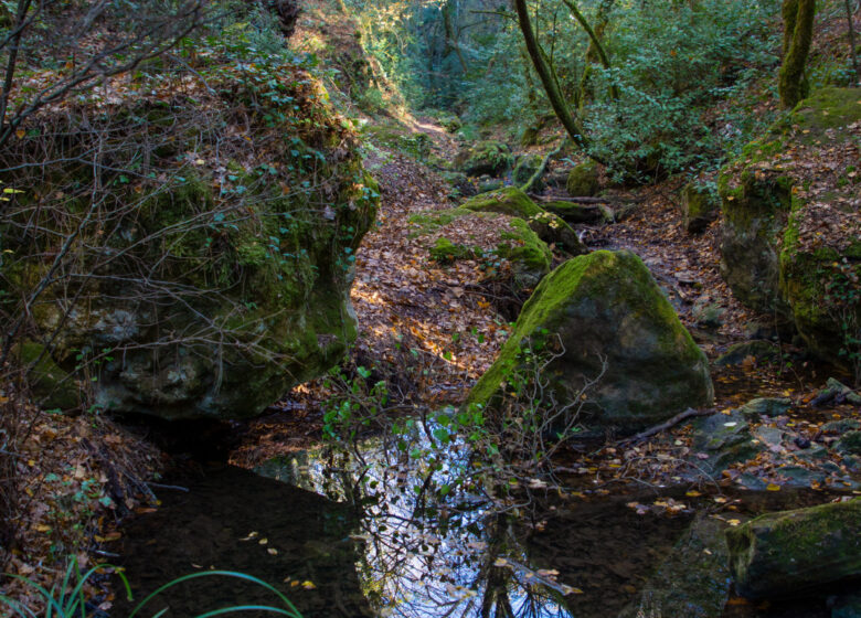 Promenade : Cascade de Gourbachin – Bagnols-en-forêt