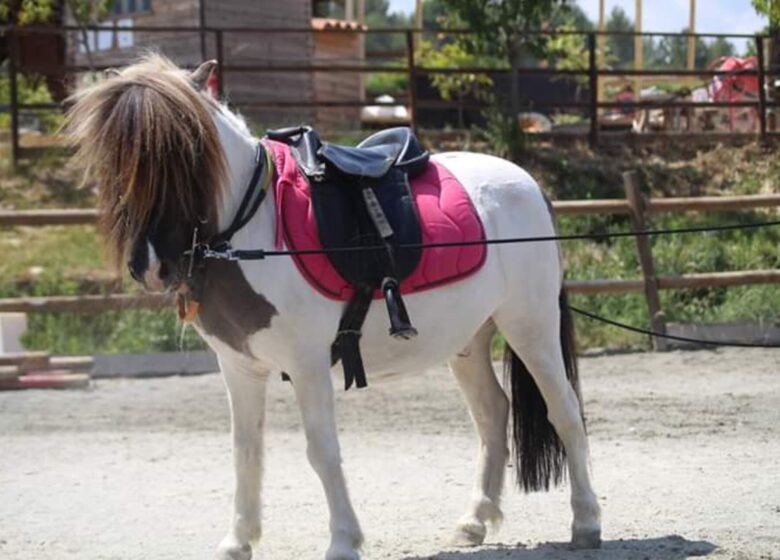 Haras des Villards : Balade à cheval « Le Chant des Oliviers »