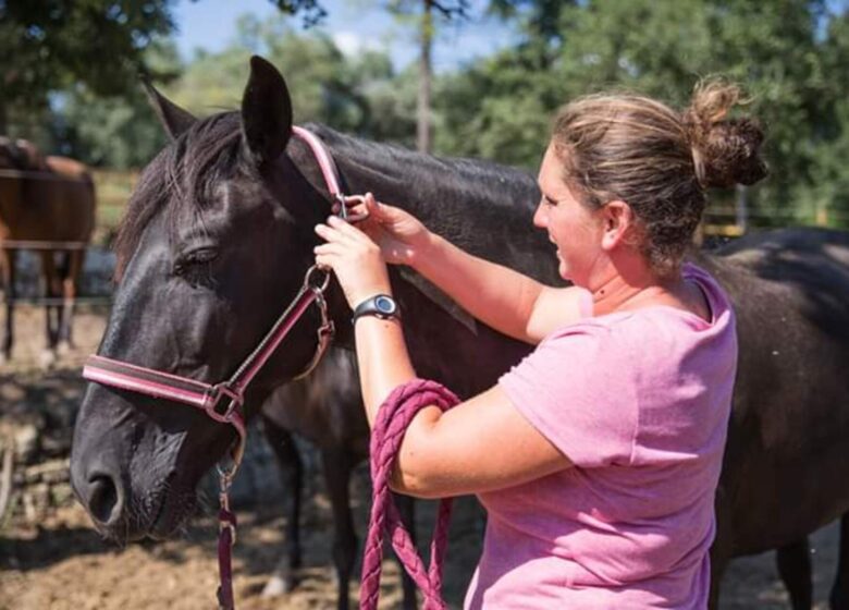 Haras des Villards: Balade demi-journée « Vue mer et montagne »