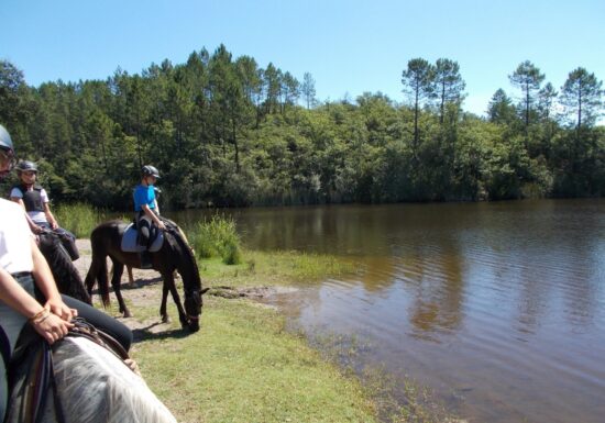 Haras des Villards: Journée détente à cheval/poney