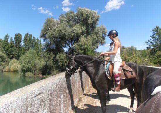 Haras des Villards: Journée détente à cheval/poney