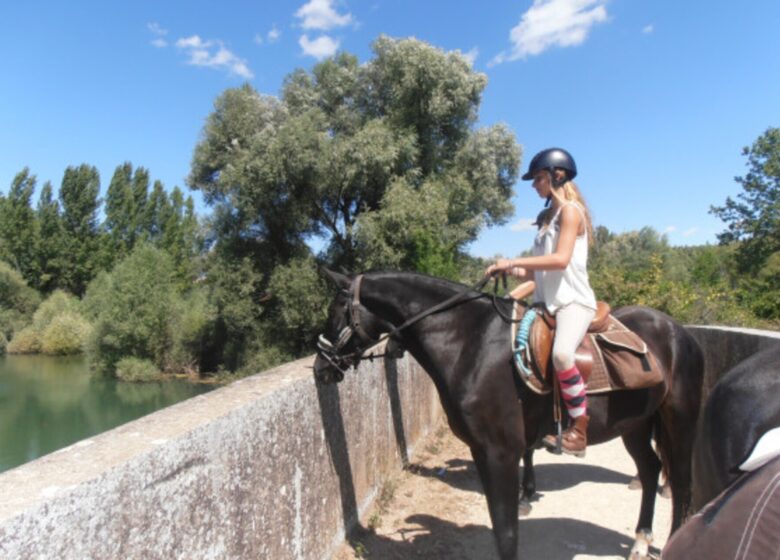 Haras des Villards: Journée détente à cheval/poney