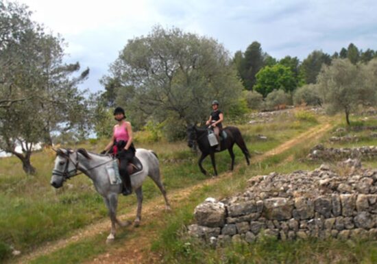 Haras des Villards: Journée détente à cheval/poney