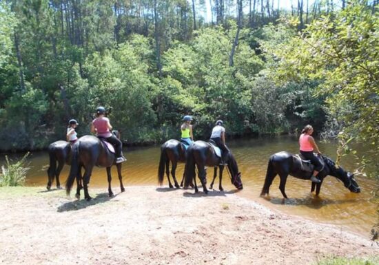 Haras des Villards: Journée détente à cheval/poney