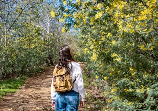 Randonnée sentier du Mimosa