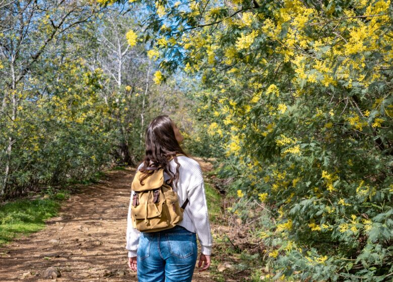Randonnée sentier du Mimosa