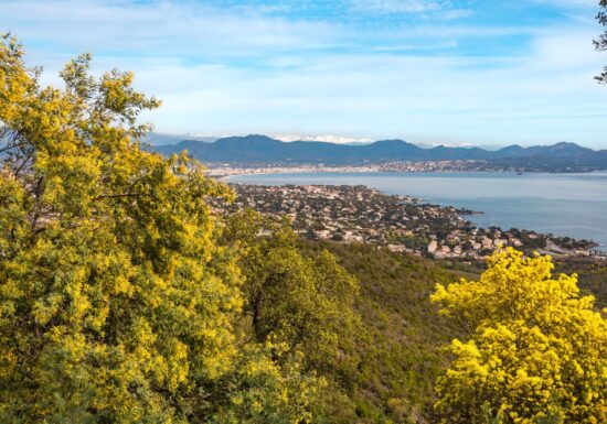 Randonnée sentier du Mimosa