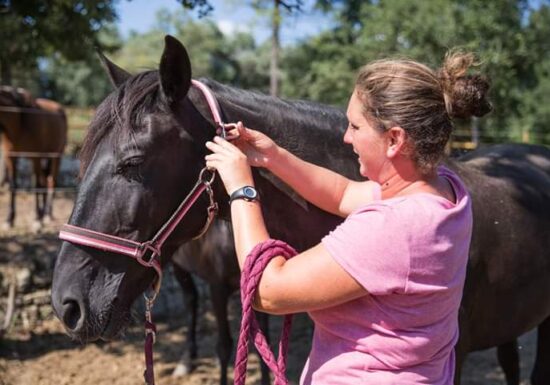 promenade découverte » réserve biologique » au lac de St Cassien 2h