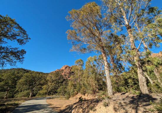 Randonnée : De Belle Barbe au Pont du Perthus