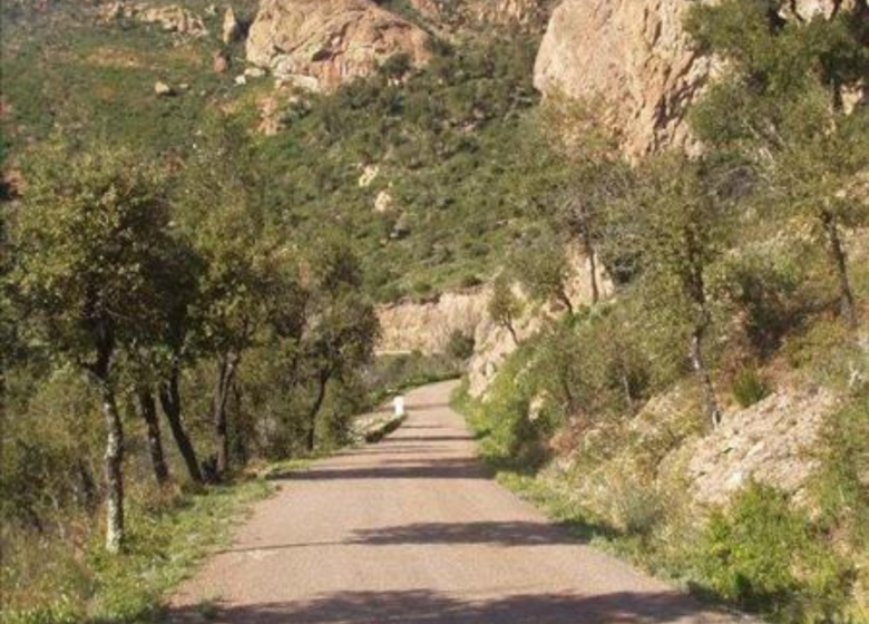 Sentier de randonnée le Malpey