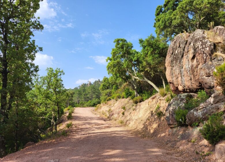 Promenade  La Pierre du Coucou – Bagnols-en-Forêt