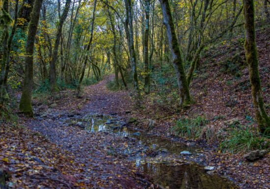 Promenade : Cascade de Gourbachin – Bagnols-en-forêt