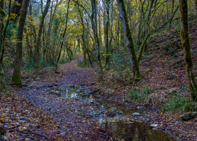 Promenade : Cascade de Gourbachin – Bagnols-en-forêt