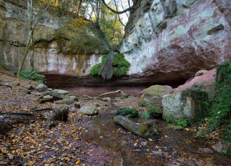Promenade : Cascade de Gourbachin – Bagnols-en-forêt